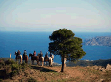 Spain-Catalonia-Ride and Swim in Catalonia